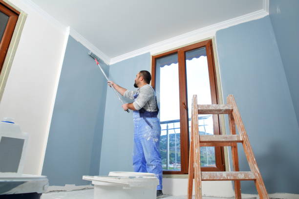 Best Residential Painting  in Mill Valley, CA