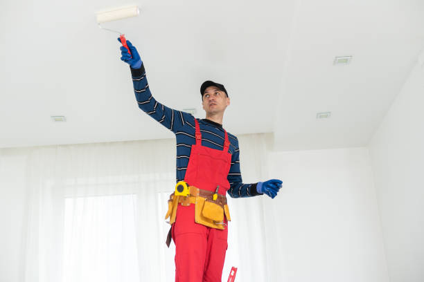 Trusted Mill Valley, CA Painting & Drywall Services Experts